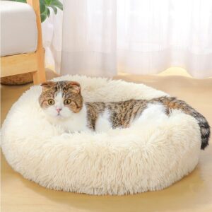 Pet Accessories